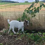 Au Vieux Puit *